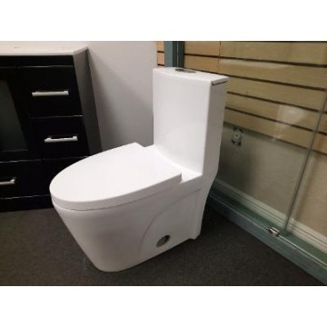 Eco Friendly Toilet